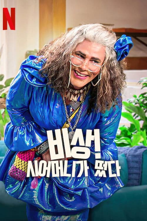 비상! 시어머니가 떴다