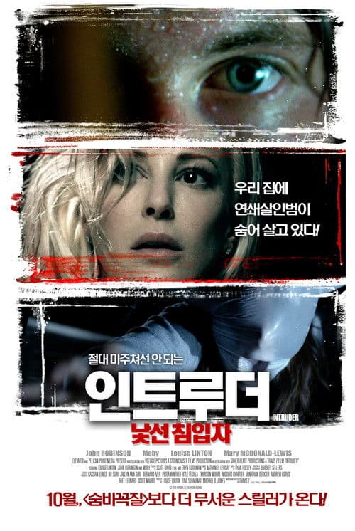 인트루더: 낯선 침입자