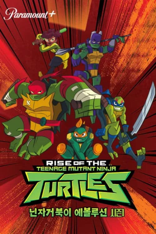 닌자거북이 에볼루션