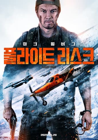 플라이트 리스크