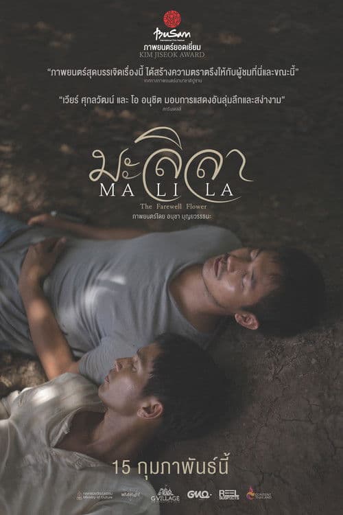 마릴라: 이별의 꽃